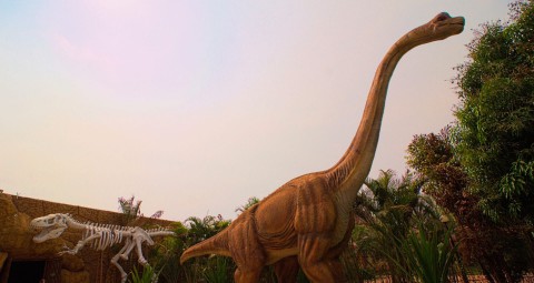 Vale dos Dinossauros em Olímpia SP  